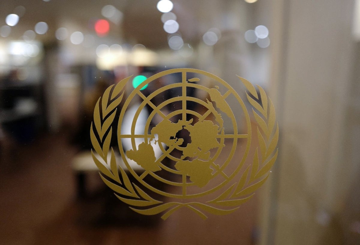Organización de las Naciones Unidas (ONU)