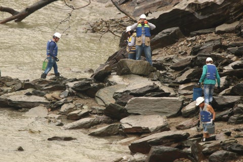El rescate de peces en el río Cauca hecho por empleados de EPM