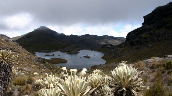 Los gobernadores pretenden establecer un acuerdo que llevará a la protección de los ecosistemas.