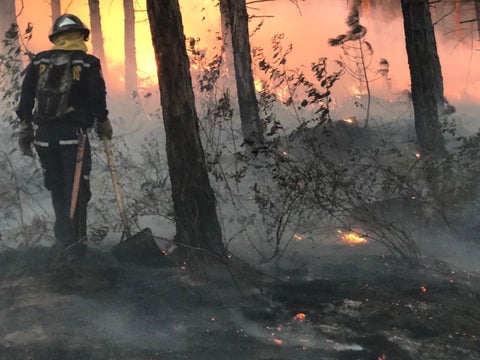 Un gigantesco incendio, ocasionado por pirómanos, se registra a esta hora en el cerro Quitasol de Bello