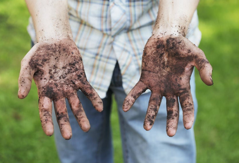 Científicos señalaron que come tierra ayuda para adelgazar.