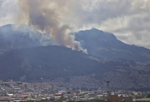 Incendio forestal en los cerros orientales, en el sur de Bogotá, en el barrio Santa Rosa. Bomberos atienden la situación.