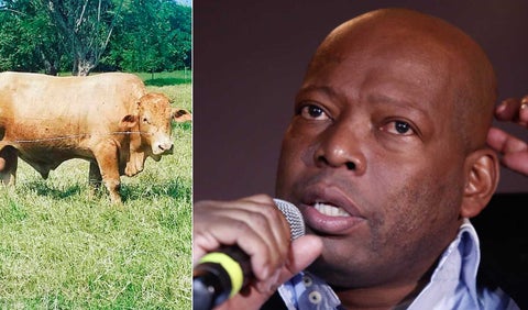 Faustino Asprilla y la denuncia que hizo a través de Twitter por el robo de su ganado