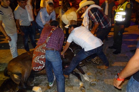 El hecho ocurrió en el norte del Valle