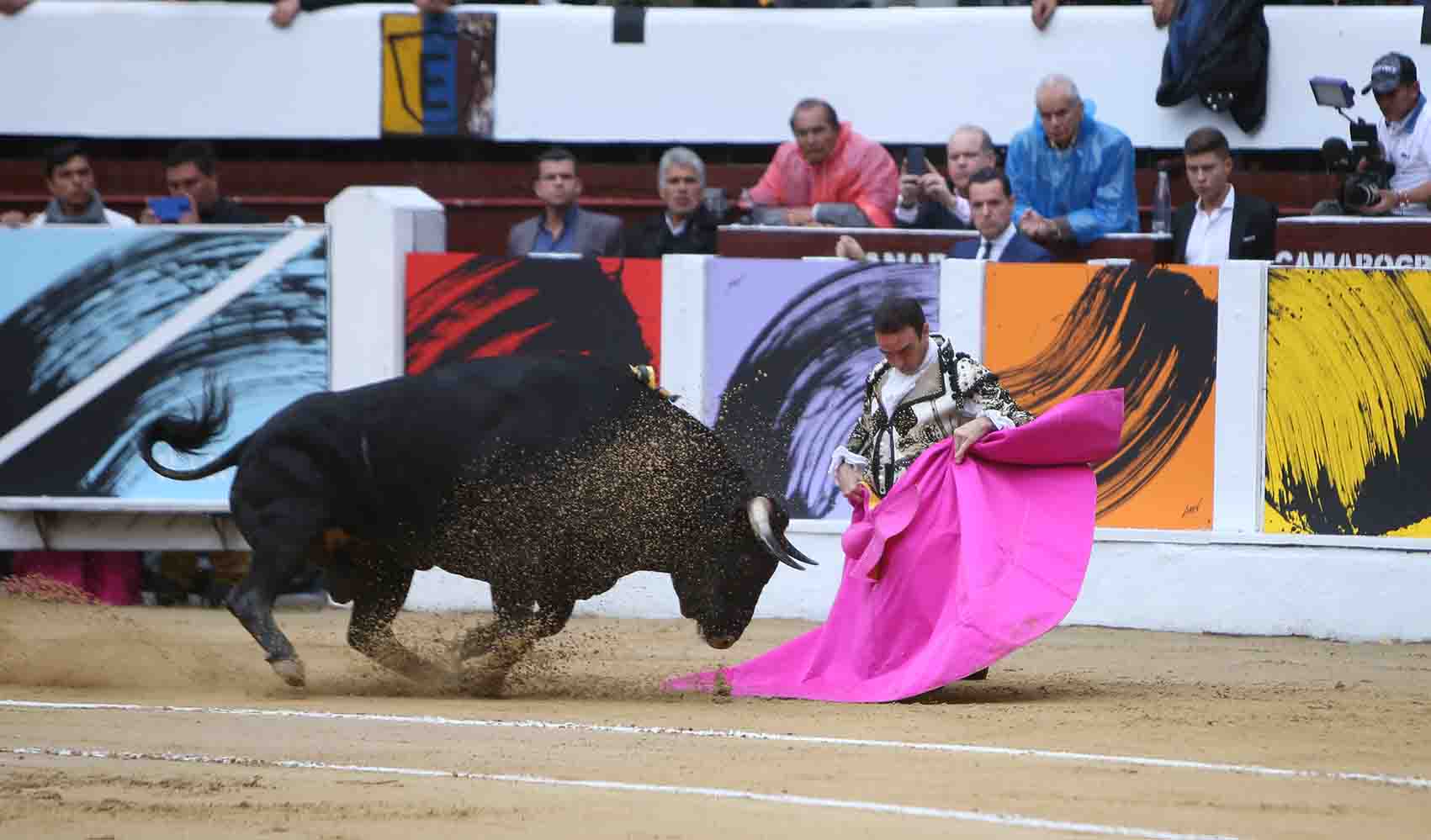 Toros RCN