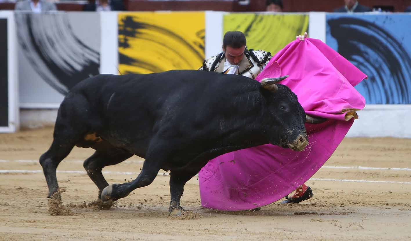 Toros RCN