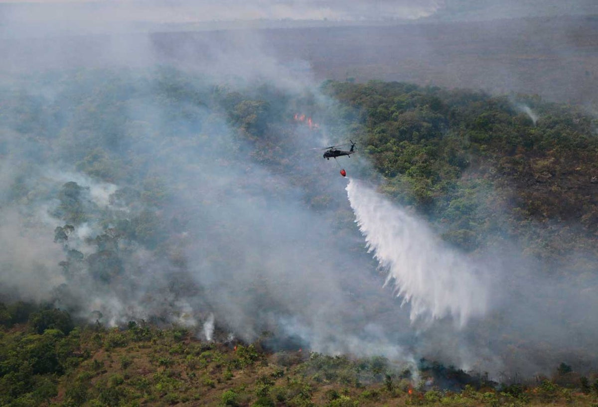 Incendio forestal