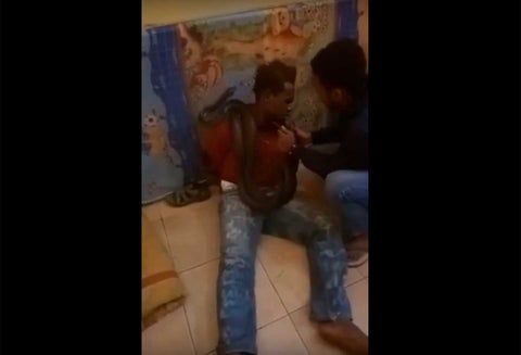 Policía usa una serpiente para interrrogar a un hombre
