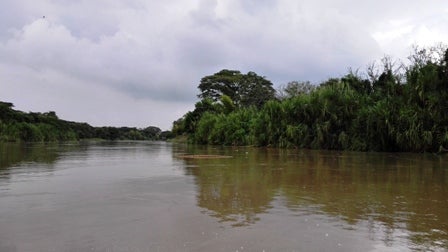 río Cauca.