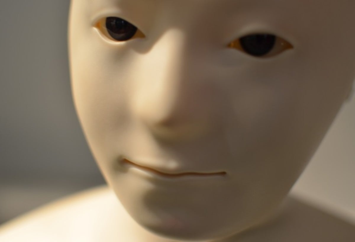 Robots 2019