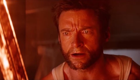 Wolverine