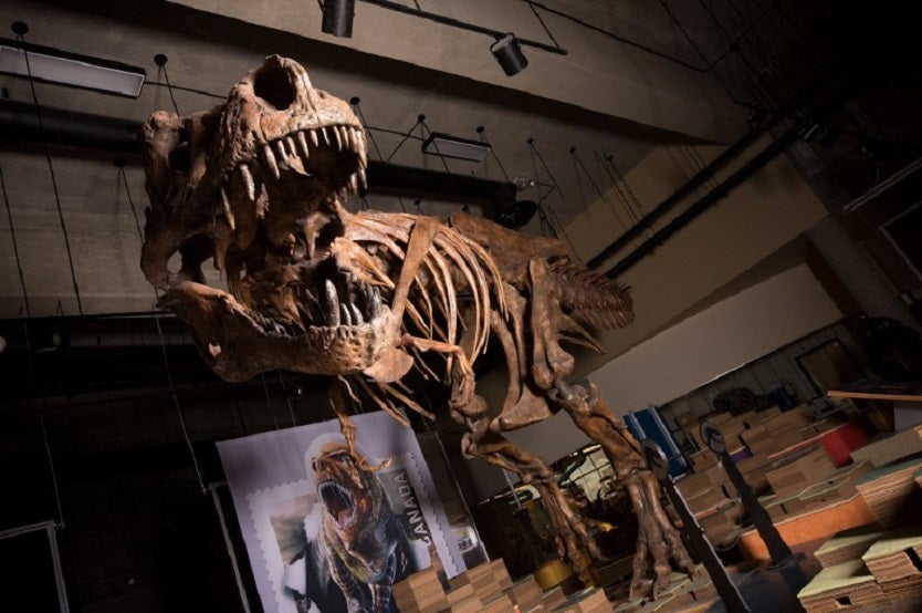 Tyrannosaurus Rex