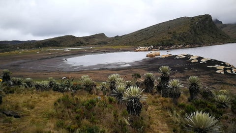 Sequía Páramo de Sumapaz