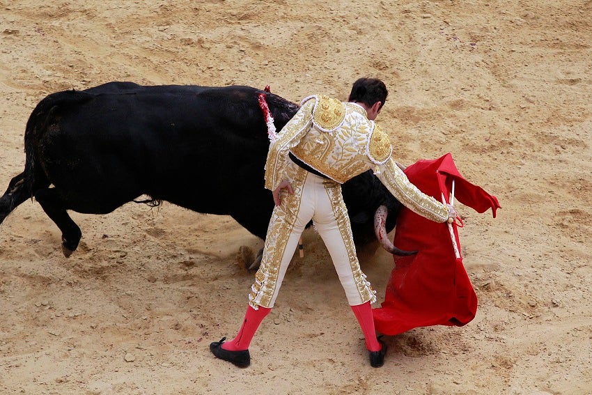 El maestro Enrique Ponce