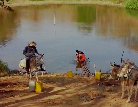 Las comunidades rurales son las que más padecen por falta de agua