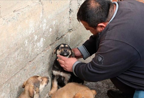 El comerciante turco Omer Yilmaz cuida al cachorro al que le salvó la vida tras darle un masaje cardiaco y practicarle respiración boca a boca después de que se ahogara con gran cantidad de comida, en Rize, Turquía, el 25 de marzo de 2019.