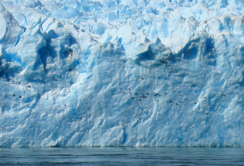 El cambio climático ha terminado este patrimonio ambiental.