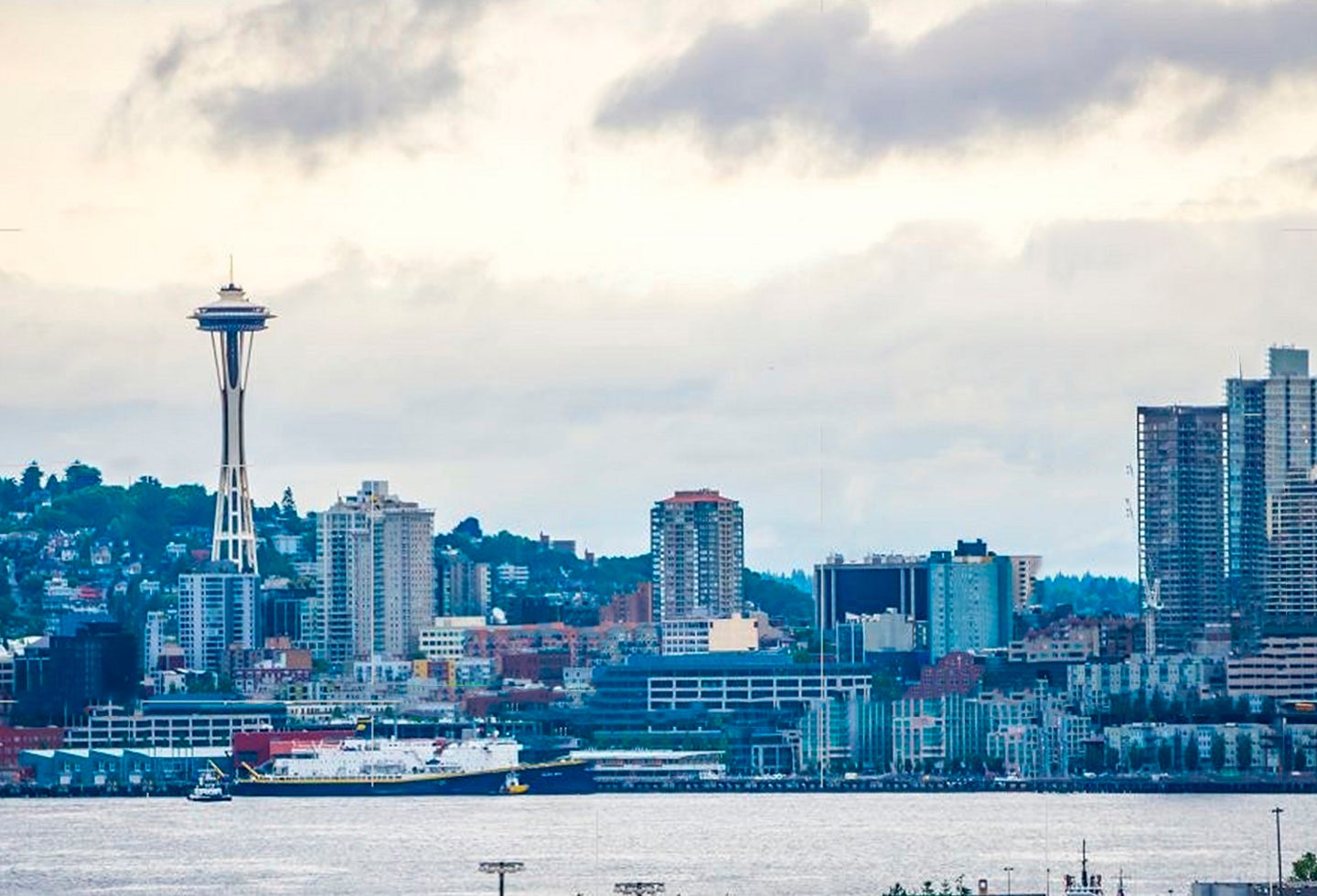 Un estudio reveló que los habitantes no son la mejor opción para buscar el amor.