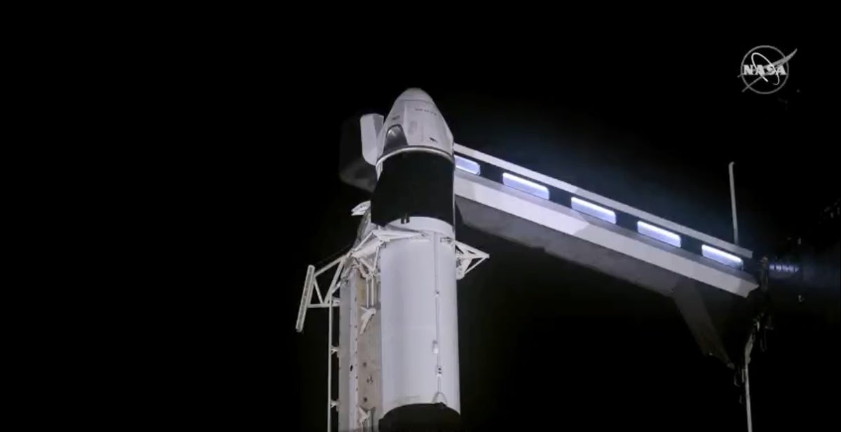 Space X
