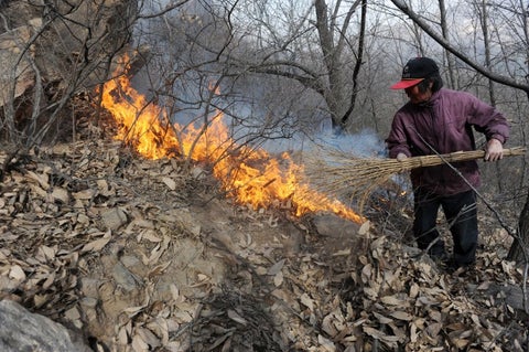 Incendio forestal en China