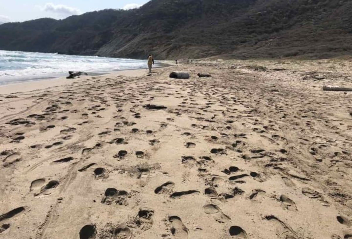 El representante Franklin Lozano (Opción Ciudadana) insistió en que la actual concesión no ha cuidado el parque y de ahí la necesidad de considerar que sean los indígenas y la población local quienes administren el lugar.