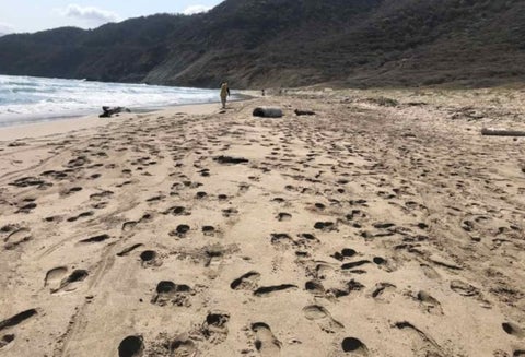 El representante Franklin Lozano (Opción Ciudadana) insistió en que la actual concesión no ha cuidado el parque y de ahí la necesidad de considerar que sean los indígenas y la población local quienes administren el lugar.