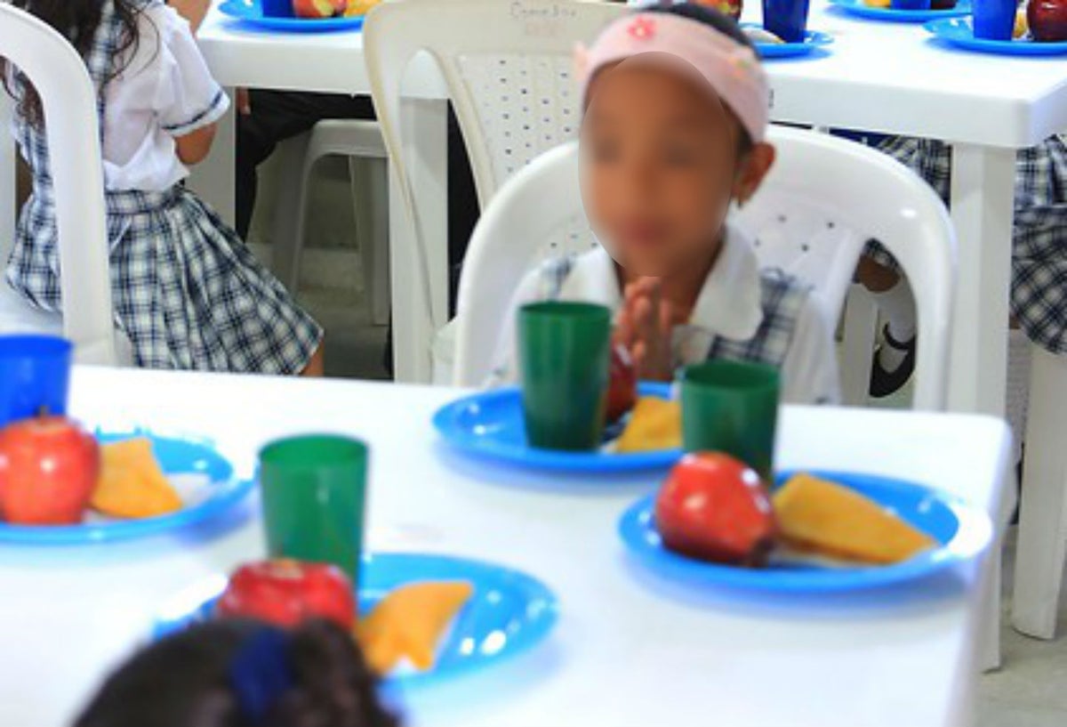 Alimentación escolar