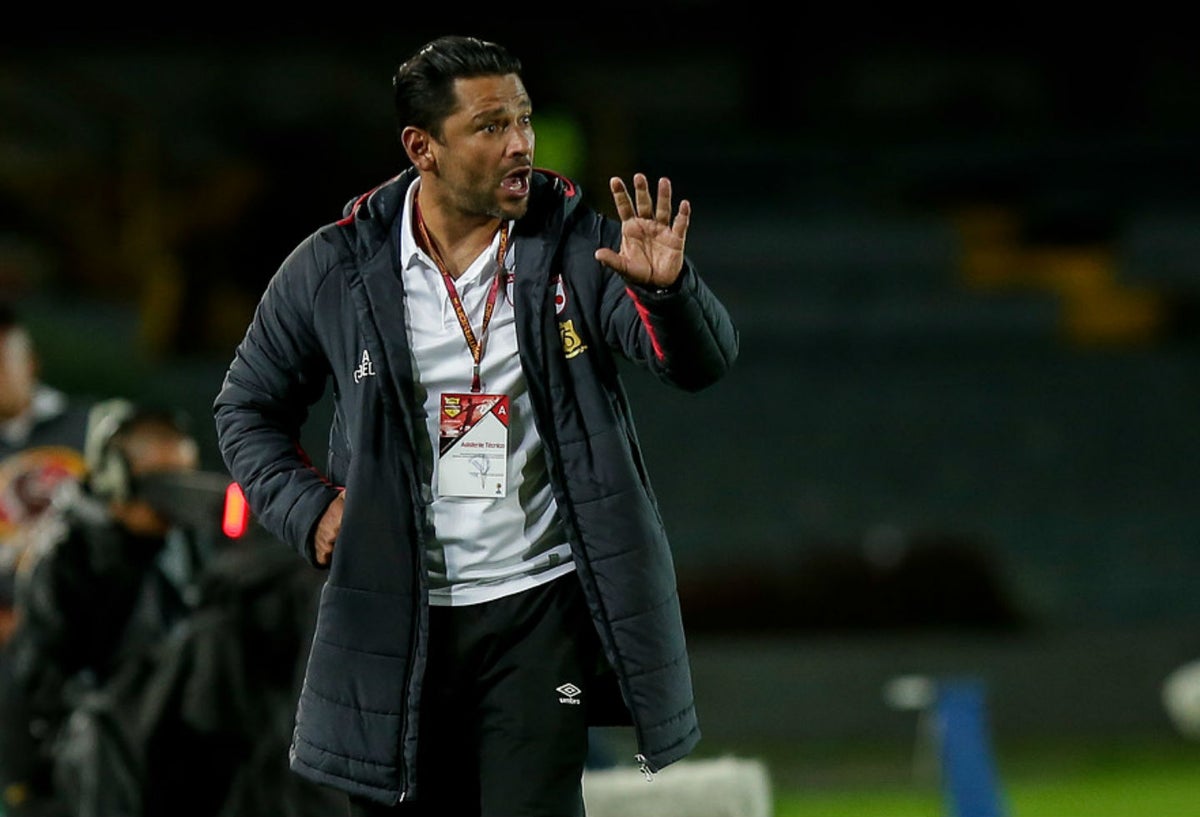 Gerardo Bedoya, técnico de Santa Fe.
