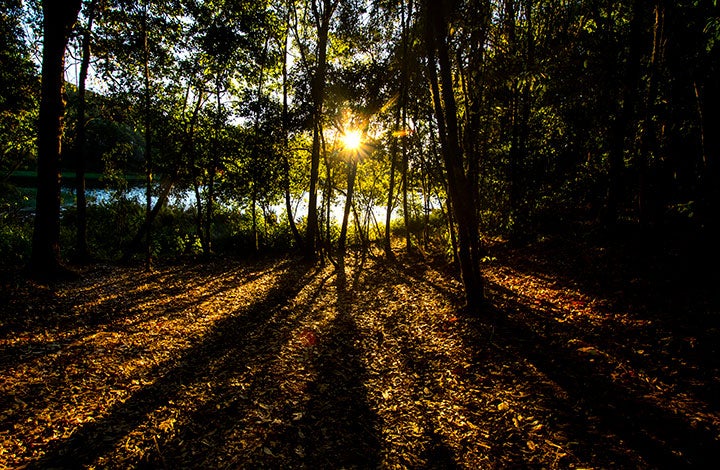 Ecosistema de Costa Rica