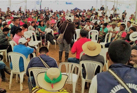 Minga indígena