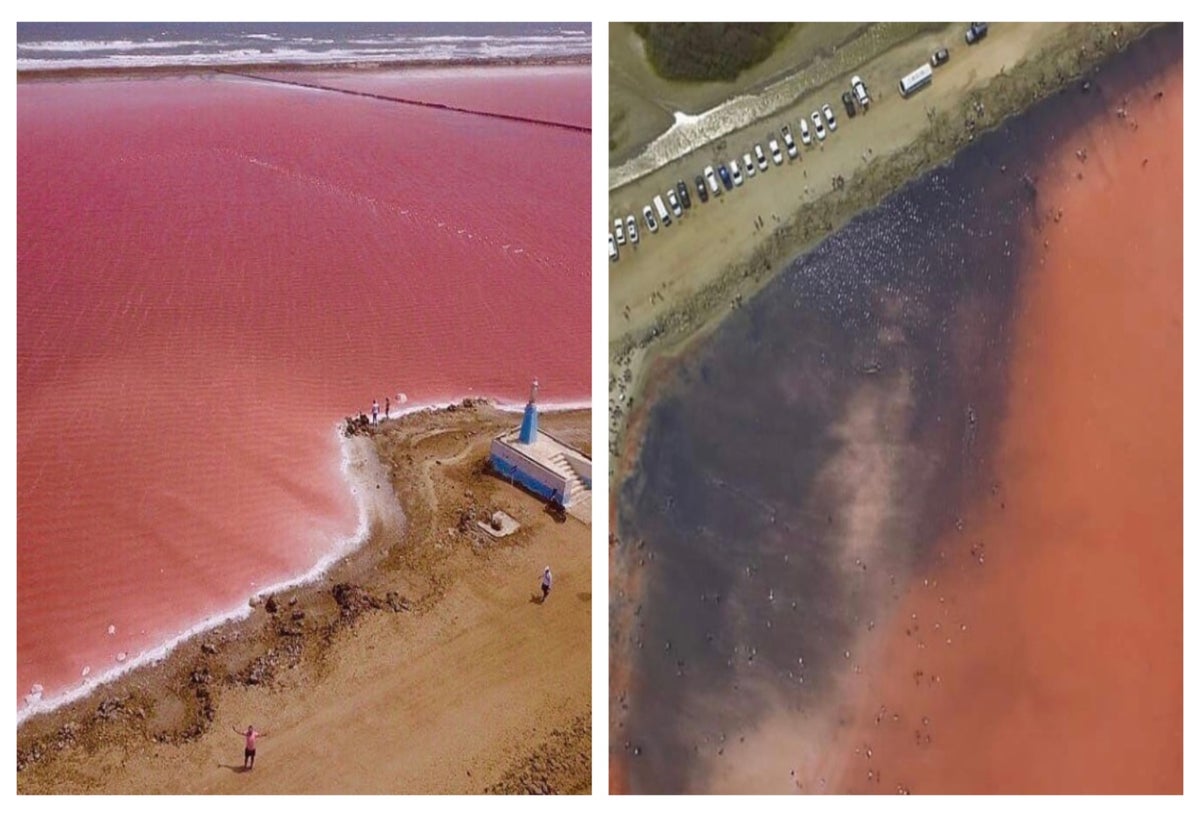 Mar rosado