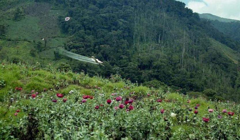 Fumigación de cultivos ilícitos con drones.