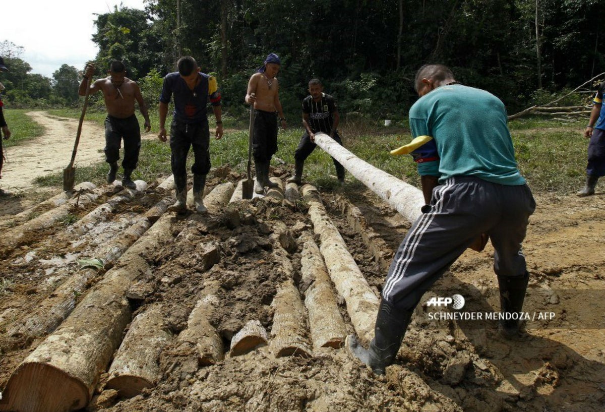 Guerrilleros de las Farc