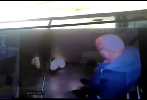 Maltrato animal en Pasto