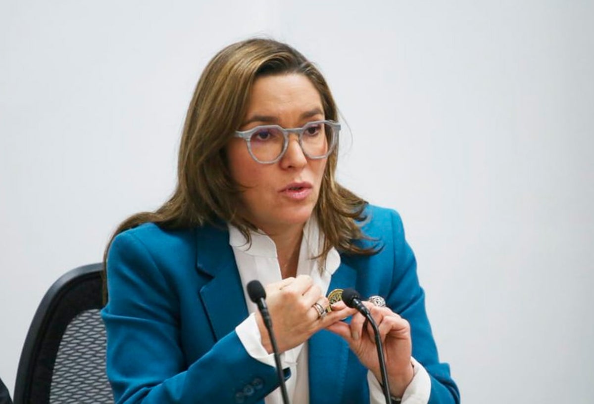María Fernanda Suárez, ministra de Minas