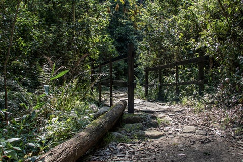 Quebrada La Vieja, Bogotá.