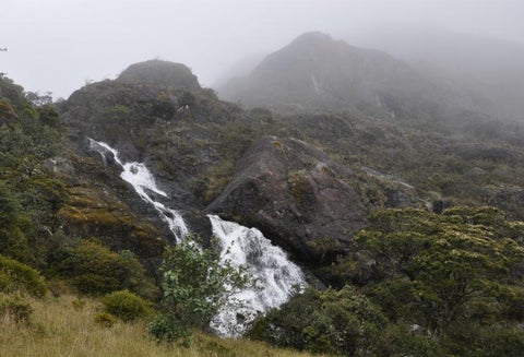 Páramo de Santurbán.