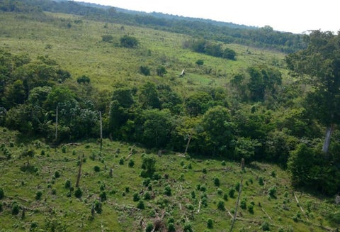 Terrenos baldíos