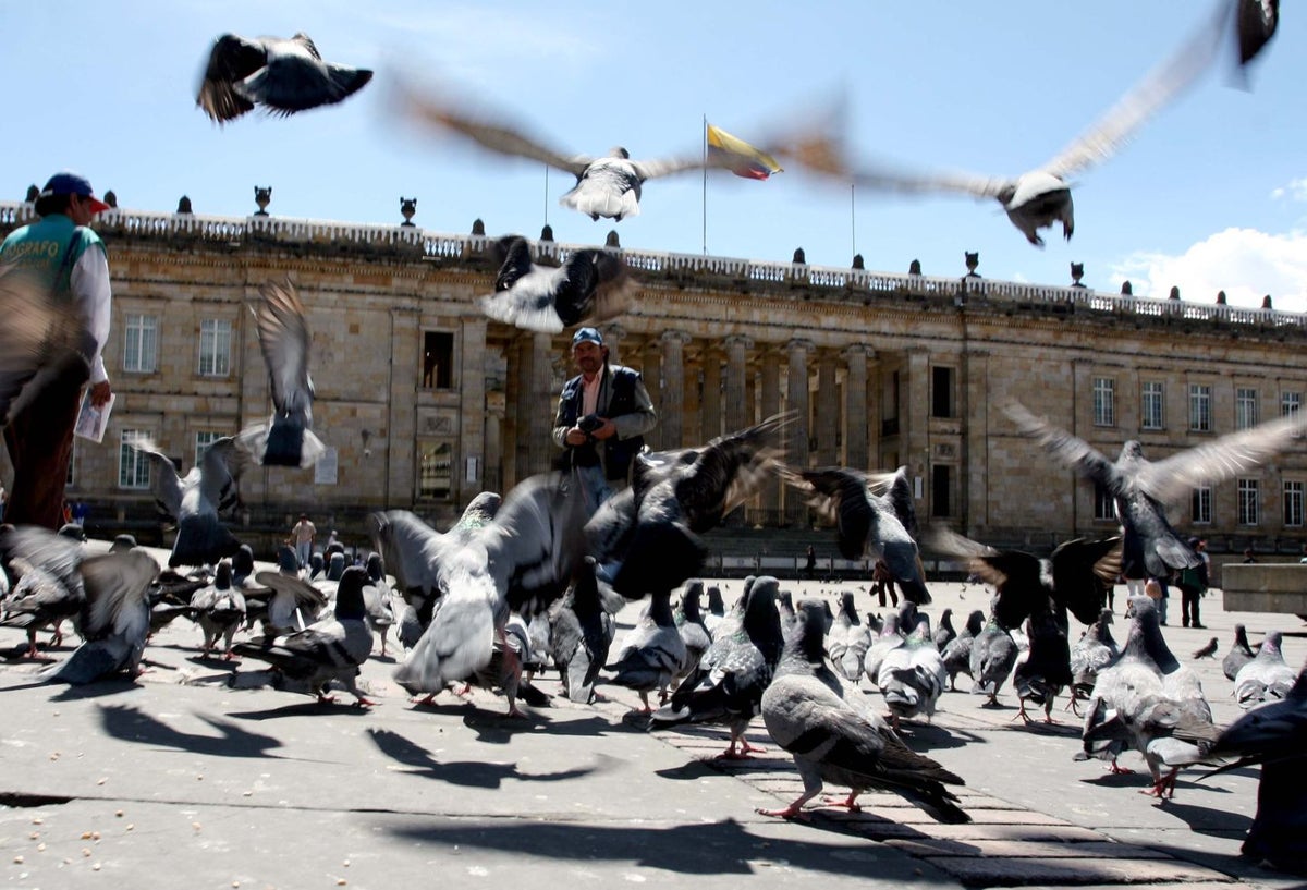 Plaza de Bolívar