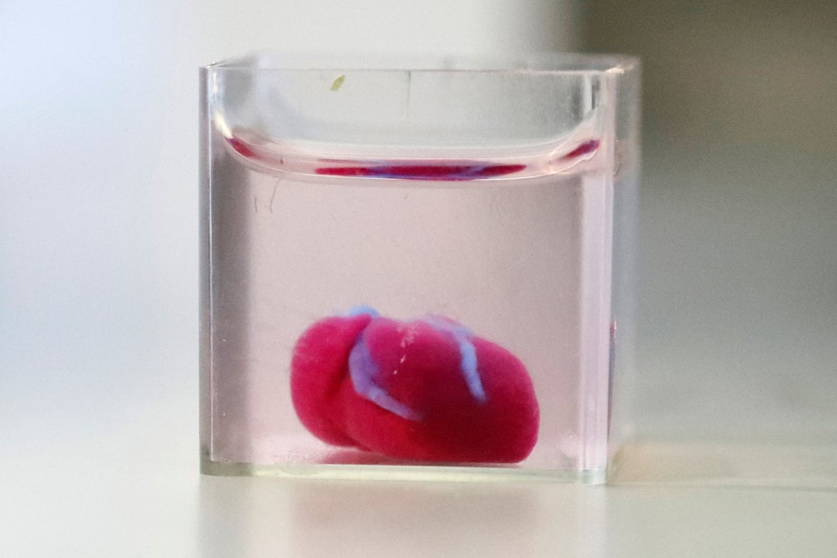 Prototipo de corazón humano en impresión 3D