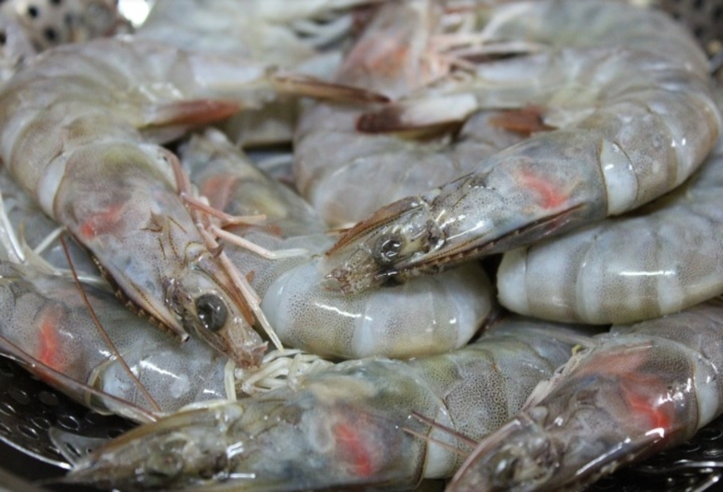 sustancias psicoactivas