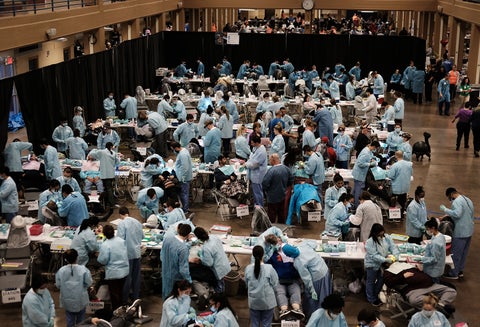 Odontólogos reunidos en Knoxville, Tennessee (Estados Unidos)