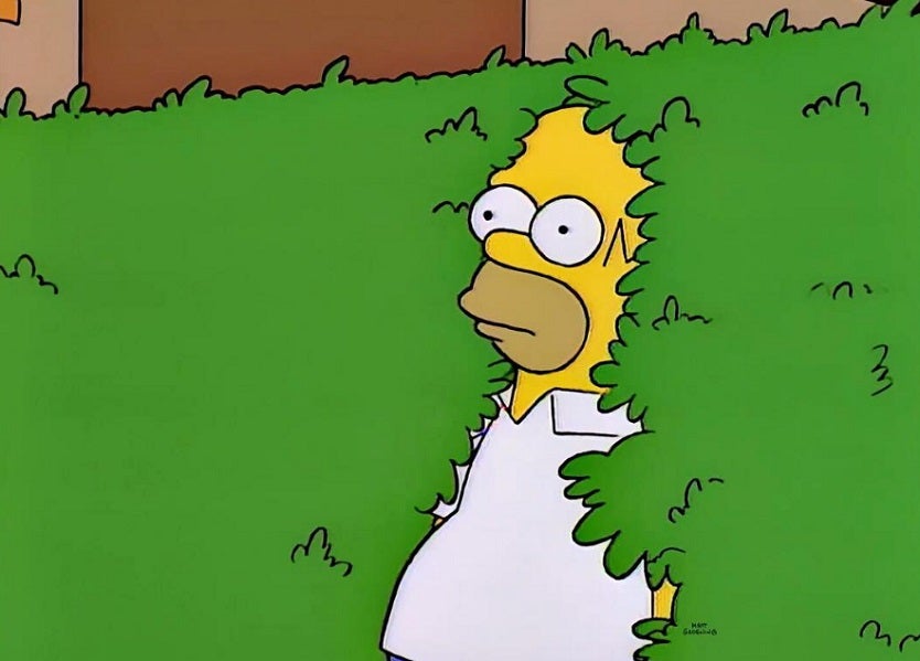 Homero Simpson