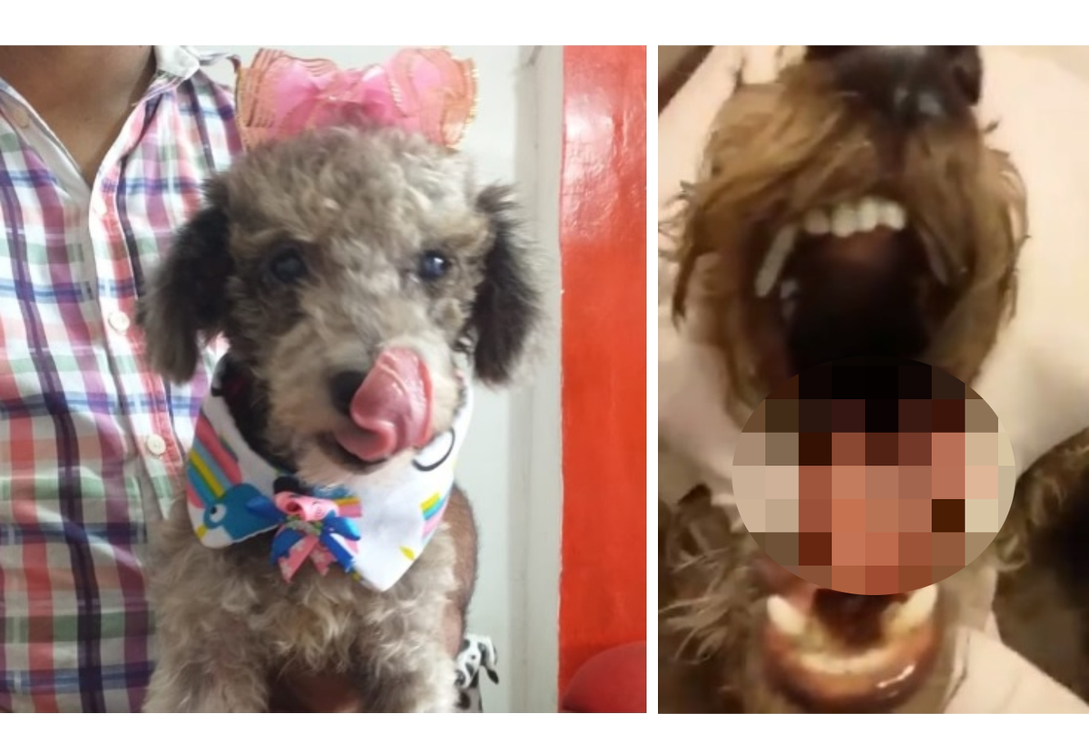 Chiqui