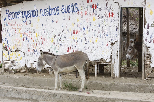 MASACRE DE EL SALADO