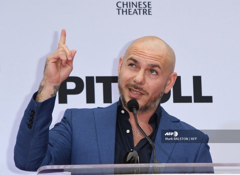 Pitbull