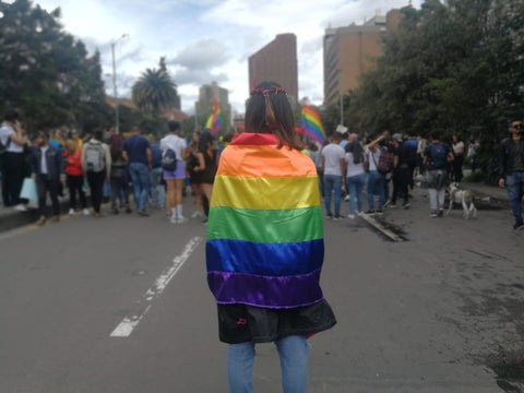 Marcha del Orgullo LGBTI