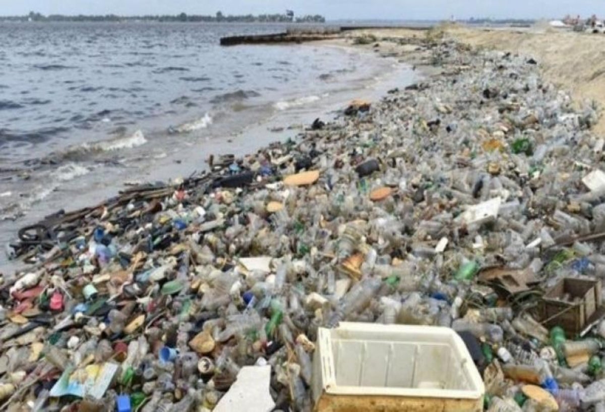 La propuesta pretende proteger más de 315.000 kilómetros cuadrados de océano.