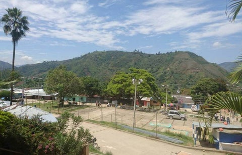 Toribío