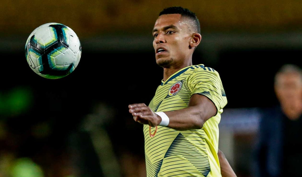 Selección Colombia · William Tesillo